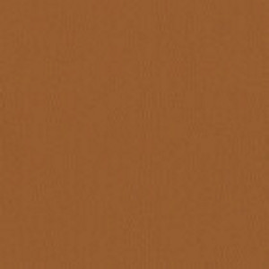 Inca 407 Swatch image for Inca 407